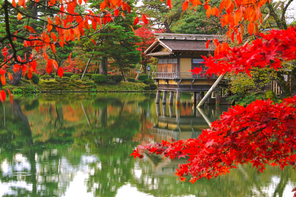 金澤・兼六園秋色