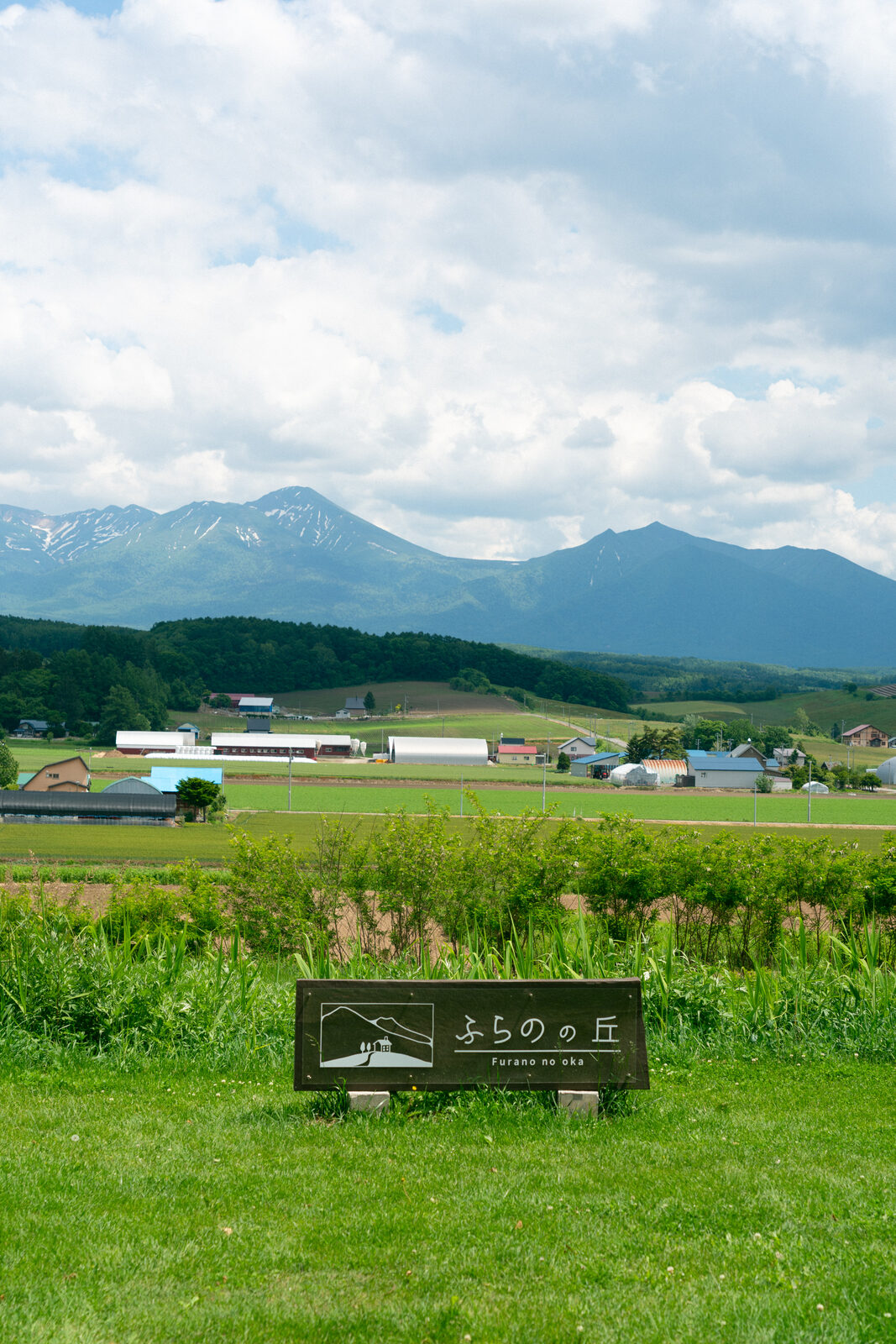 富良野丘陵